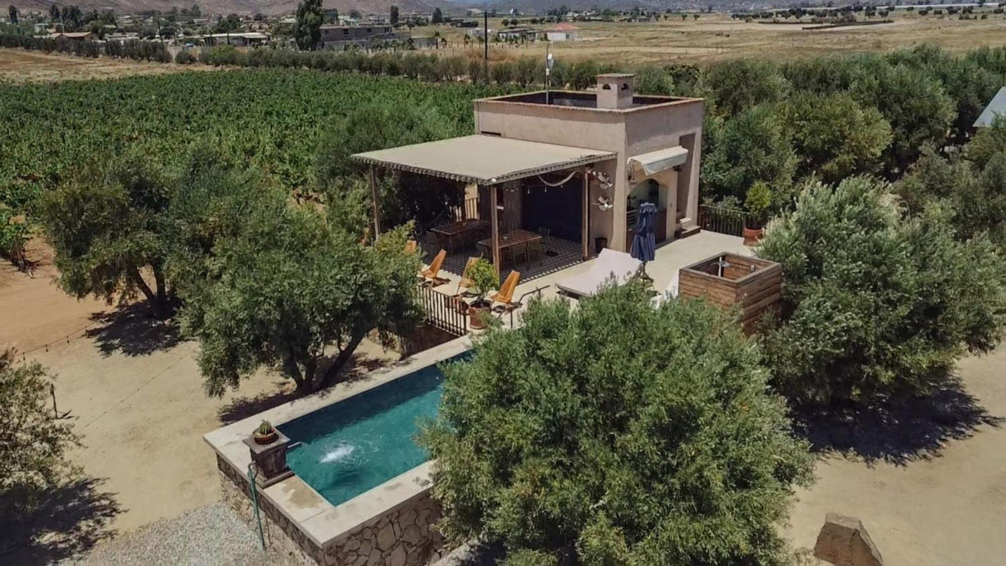 Alma Liebre Vinedos Del Valle Valle de Guadalupe Exterior foto